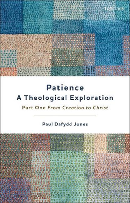 Patience—A Theological Exploration, Dr Paul Dafydd (University of Virginia Jones - Paperback - 9780567694386