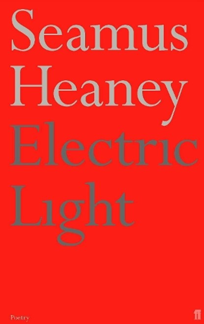 Electric Light, Seamus Heaney - Paperback - 9780571207985