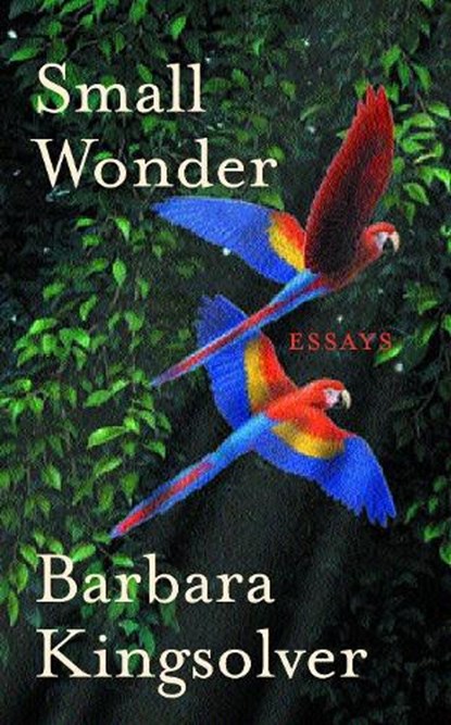 Small Wonder, Barbara Kingsolver - Paperback - 9780571215775