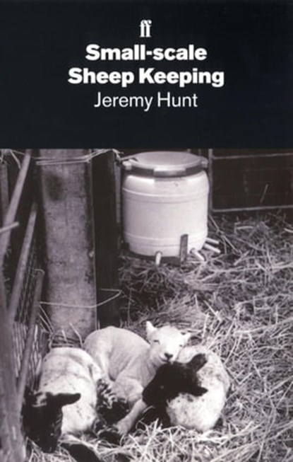 Small-Scale Sheep Keeping, Jeremy Hunt - Ebook - 9780571265619