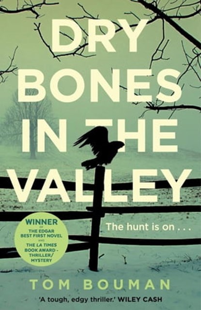 Dry Bones in the Valley, Tom Bouman - Ebook - 9780571320653