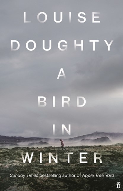 A Bird in Winter, DOUGHTY,  Louise - Paperback - 9780571322183