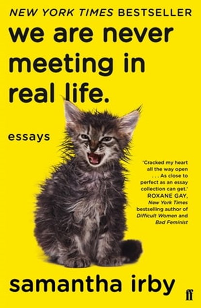 We Are Never Meeting in Real Life, Samantha Irby - Ebook - 9780571349821