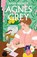 Agnes Grey, Anne Bronte - Paperback - 9780571358274