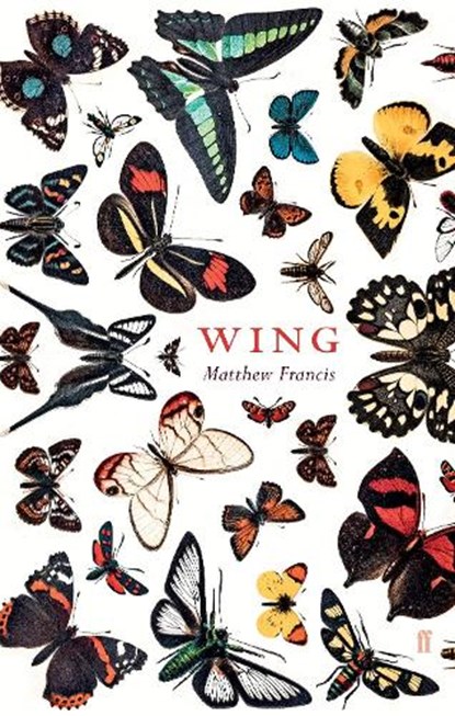 Wing, Matthew Francis - Gebonden - 9780571358618