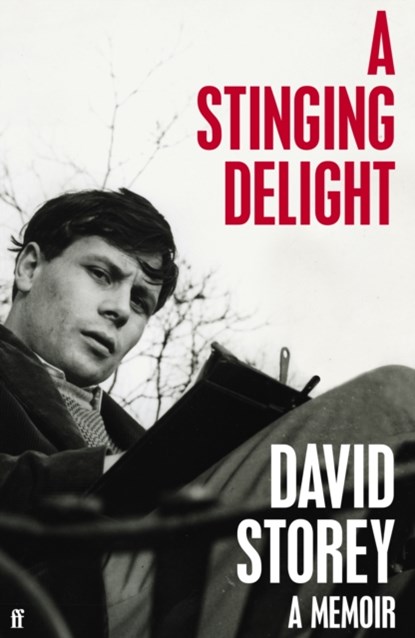 A Stinging Delight, David Storey - Gebonden Gebonden - 9780571360314