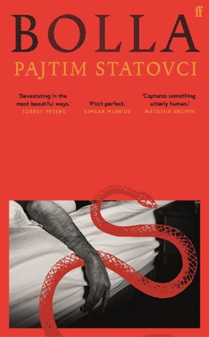 Bolla, Pajtim Statovci - Gebonden - 9780571361335
