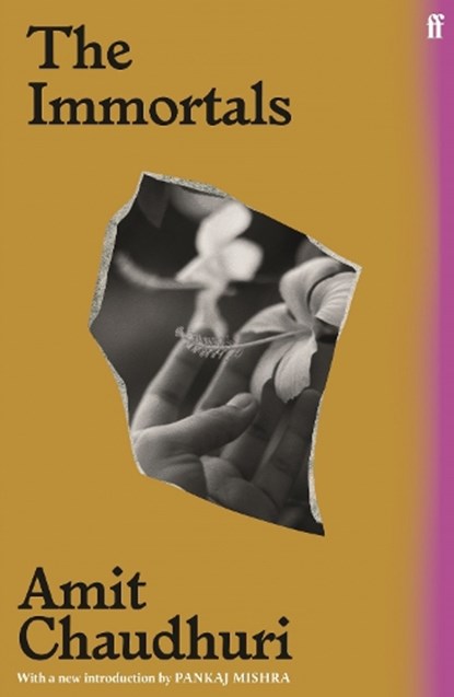 The Immortals, Amit Chaudhuri - Paperback - 9780571361595