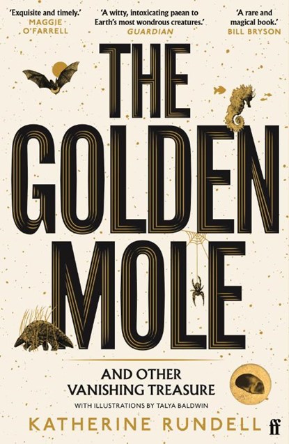The Golden Mole, RUNDELL,  Katherine - Paperback - 9780571362509