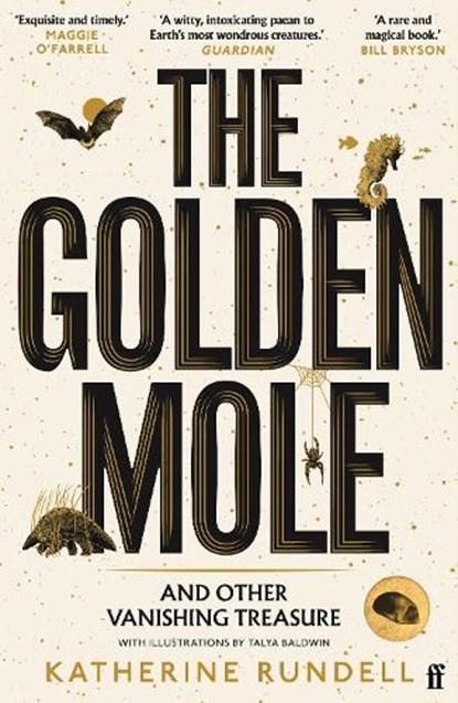 The Golden Mole, RUNDELL,  Katherine - Paperback - 9780571362509