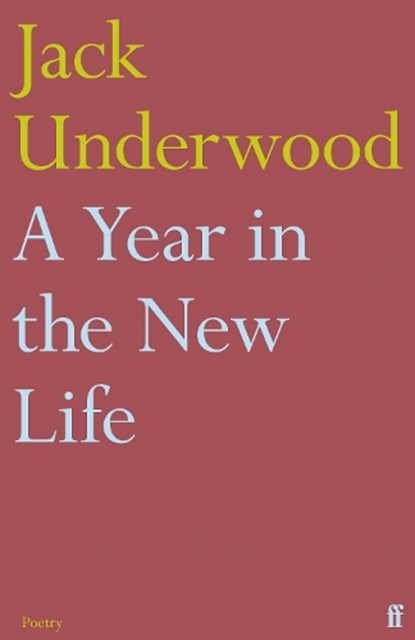 A Year in the New Life, Jack Underwood - Paperback - 9780571367252