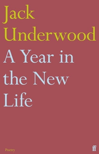 A Year in the New Life, Jack Underwood - Ebook - 9780571367269