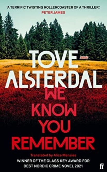 We Know You Remember, Tove Alsterdal - Paperback - 9780571368914
