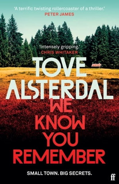We Know You Remember, Tove Alsterdal - Ebook - 9780571368945