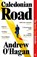 Caledonian Road, Andrew O'Hagan - Paperback - 9780571381371