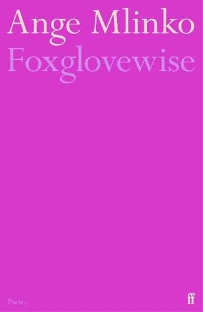 Foxglovewise, Ange Mlinko - Paperback - 9780571393862