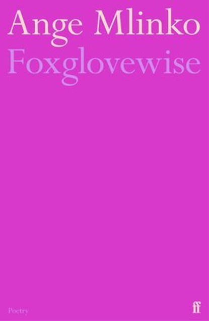 Foxglovewise, Ange Mlinko - Ebook - 9780571393879