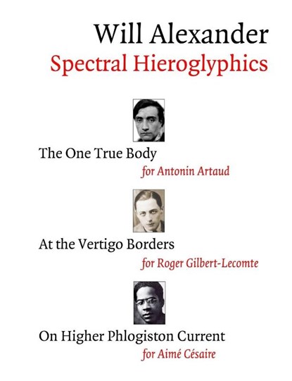 Spectral Hieroglyphics, Will Alexander - Paperback - 9780578180922