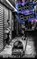 Better Bones, Jane-Rebecca Cannarella - Paperback - 9780578223117