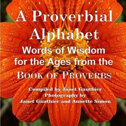 A Proverbial Alphabet, Janet Gauthier; Annette Simon - Overig - 9780578404059