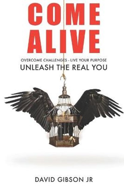 Come Alive: Overcome Challenges, Live Your Purpose & Unleash The Real You, David Gibson - Paperback - 9780578497020
