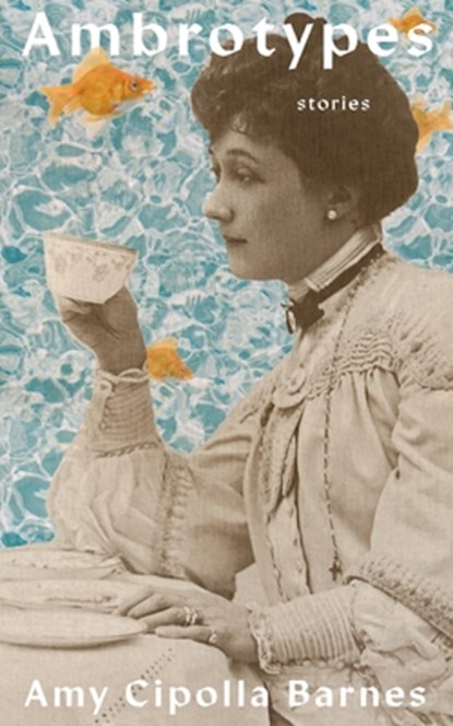Ambrotypes, Amy Cipolla Barnes - Paperback - 9780578529875