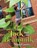 Jack and the Beanstalk, Nina Crews - Paperback - 9780578670973