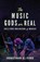 The Music Gods are Real, FINK,  Jonathan a - Paperback - 9780578754369