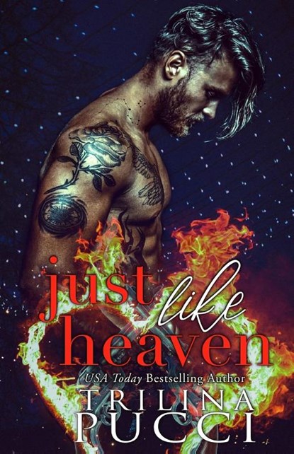 Just like Heaven, Trilina S Pucci - Paperback - 9780578989174