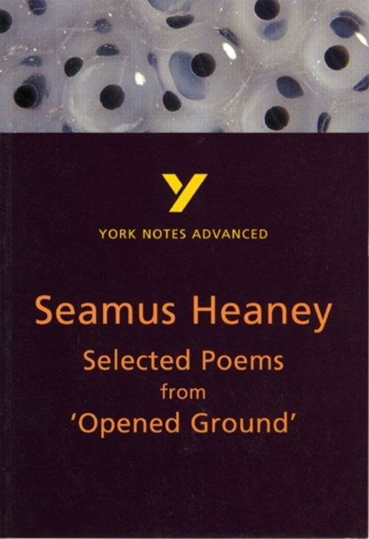 Selected Poems from Opened Ground (York Notes Advanced) English Literature Study Guide - for 2026, 2027 exams, Alisdair Macrae - Paperback - 9780582329317