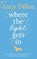 Where The Light Gets In, Lucy Dillon - Gebonden - 9780593080368