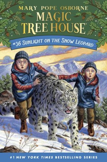 Sunlight on the Snow Leopard, Mary Pope Osborne - Ebook - 9780593177525