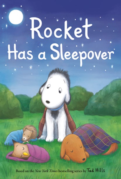 Rocket Has a Sleepover, HILLS,  Tad - Gebonden - 9780593181256