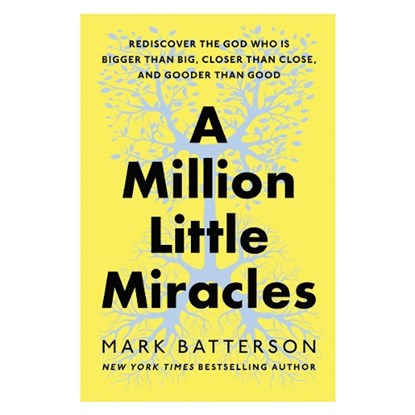 A Million Little Miracles, Mark Batterson - Paperback - 9780593192832