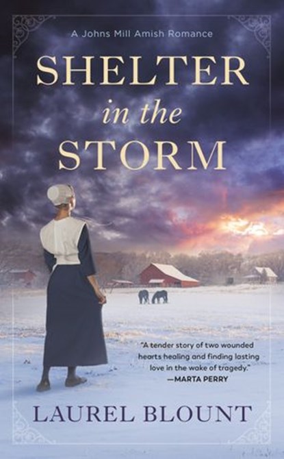 Shelter in the Storm, Laurel Blount - Ebook - 9780593200216