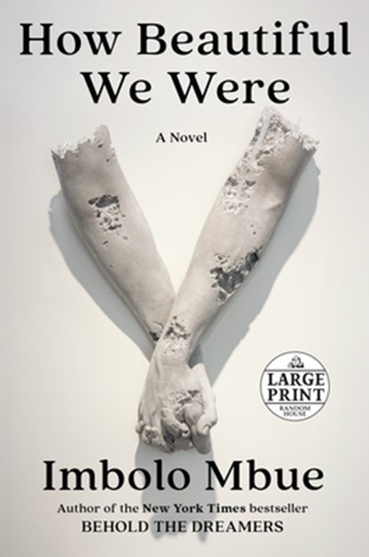 How Beautiful We Were, Imbolo Mbue - Paperback - 9780593213308