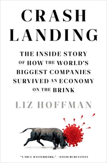Crash Landing, Liz Hoffman - Gebonden - 9780593239018