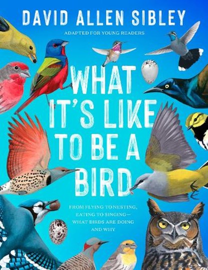 What It's Like to Be a Bird (Adapted for Young Readers), David Allen Sibley - Gebonden - 9780593430187