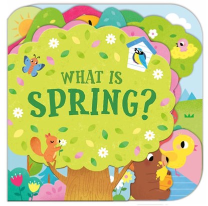 What Is Spring?, Sonali Fry - Gebonden - 9780593430552