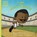 I am Jesse Owens, Brad Meltzer - Gebonden - 9780593533369