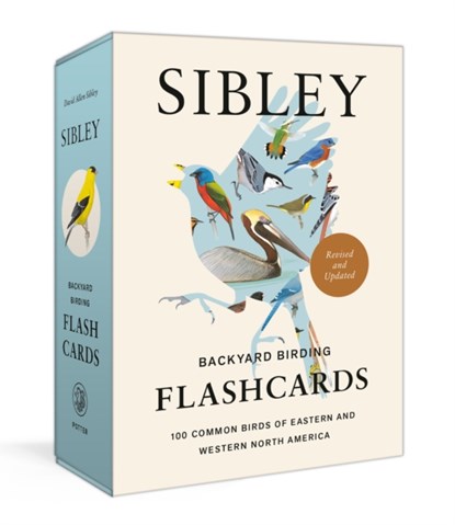 Sibley Backyard Birding Flashcards, Revised and Updated, David Allen Sibley - Losbladig - 9780593578544