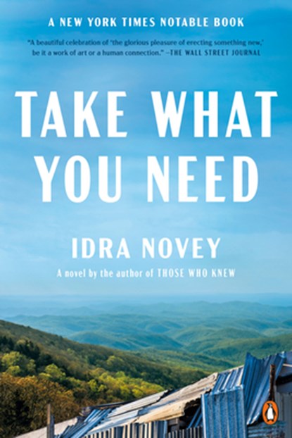 Take What You Need, Idra Novey - Paperback - 9780593652879