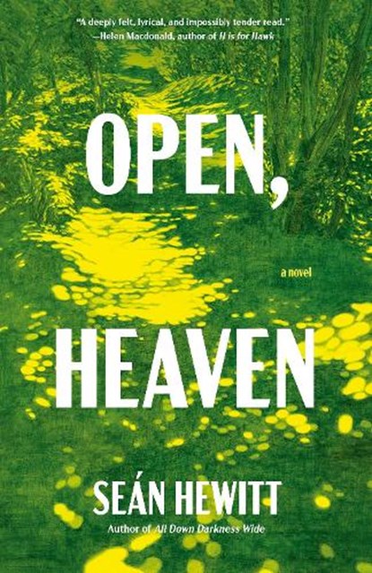 Hewitt, S: Open, Heaven, Seán Hewitt - Paperback - 9780593688847