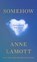 Lamott, A: Somehow, Anne Lamott - Gebonden - 9780593714416