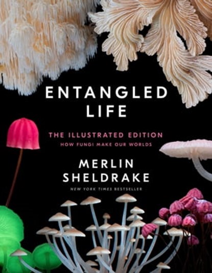 Entangled Life: The Illustrated Edition, Merlin Sheldrake - Ebook - 9780593729991