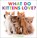 What Do Kittens Love?, D. J. Steinberg - Gebonden - 9780593754498