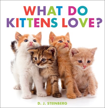 What Do Kittens Love?, D. J. Steinberg - Gebonden - 9780593754498