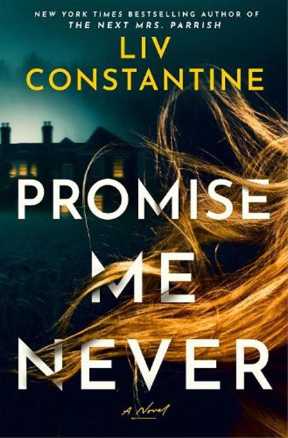 Promise Me Never, Liv Constantine - Gebonden - 9780593875230