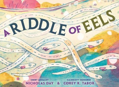 A Riddle of Eels, Nicholas Day - Gebonden - 9780593905708