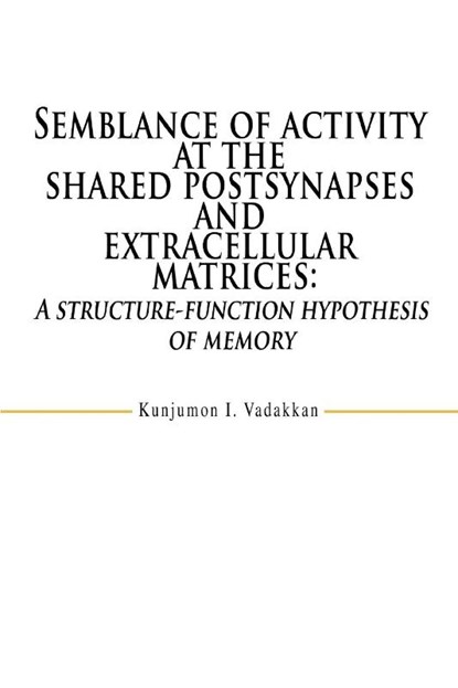 Semblance of activity at the shared postsynapses and extracellular matrices, Kunjumon I Vadakkan - Paperback - 9780595470020
